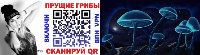 купить цена Короча Галлюциногенные грибы Magic Shrooms
